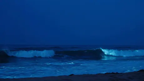 A breathtaking vista unfolds as the camera captures the inky blackness of the night sky mirroring the deep indigo of the ocean, where waves, edged with an ethereal, electric blue glow, crash gently against the shore, their phosphorescent foam leaving trails of shimmering light like liquid stardust.