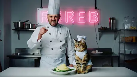 A medium shot in a food-show style studio, bathed in warm, cinematic lighting. In the background, a glowing neon sign reads “Gourmet.” At center stage, an exaggeratedly angry male chef, his face tense and expressive, towers over a young Maine Coon kitten dressed in a miniature chef’s uniform and a tall, pristine chef’s hat. Between them, on the counter, rests a meticulously plated dish — creamy mashed potatoes with bright green peas. The chef jabs his finger toward the plate, shouting passionately: “What is this? Hajimi beans? Look at this texture — it’s like coarse corn grits! The peas aren’t even tender, the sauce is alright, but the flavor is far too weak! Are you trying to fool the judges, or fool yourself?” The kitten sits motionless, staring blankly ahead, its calm, unflinching gaze a stark contrast to the chef’s fury.