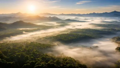 aerial view of a dense forest at sunrise, with mist and fog rolling through the valleys, mountains in the background, warm sunlight, vibrant green foliage, serene and tranquil atmosphere, ultra - realistic, 8