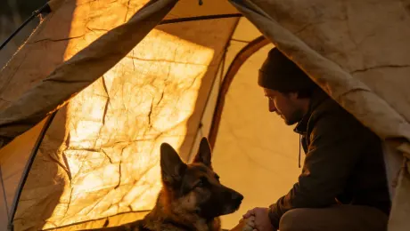 Afternoon side light illuminates the camping tent, withthe rough texture of the tent canvas clearly visible. AGerman Shepherd lies inside; its owner squats down to shake hands with it.