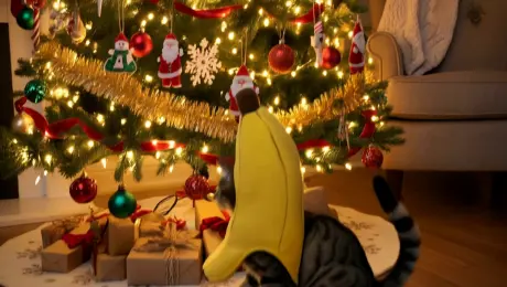 The banana cat plays games by the Christmas tree.
